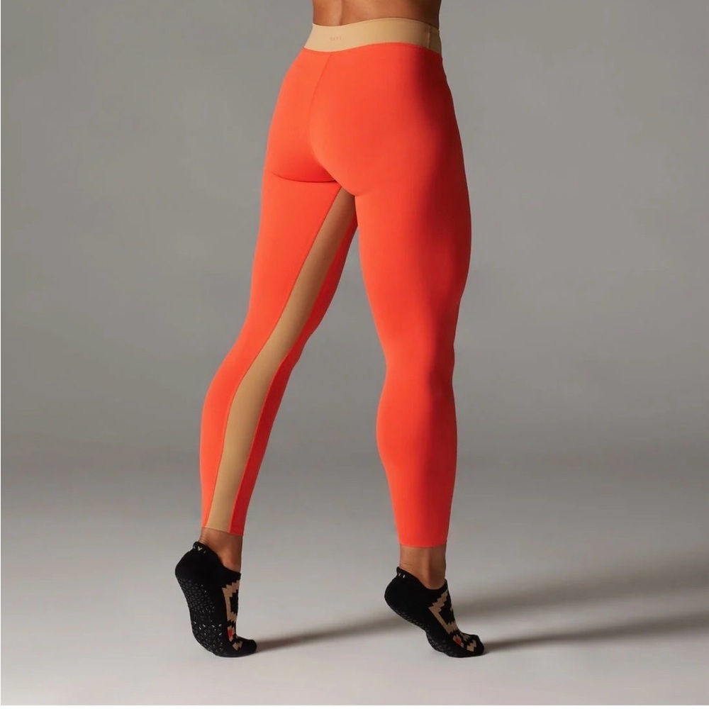 TAVI Mid Rise 7/8 Tight - Spice with Camel Stripe  - NWT - Picture 3 of 5